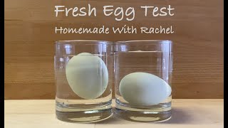 Fresh Egg Test  Sink or Float [upl. by Natam]