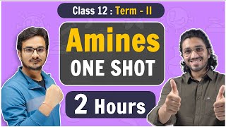 Class 12  Amines in One Shot  NCERT Term2 [upl. by Madelin]