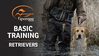 Basic Training  Retrievers [upl. by Nytsud]