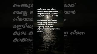 Uriye song lyrics  Minnal murali  Tovino Thomas  Shaan Rahman  Basil Joseph [upl. by Ewens]