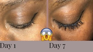 7 DAY OF CASTOR OIL GREW MY EYELASHES CRAZY RESULTS [upl. by Marchak812]