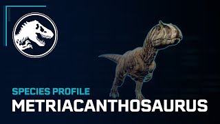 Species Profile  Metriacanthosaurus [upl. by Erikson]