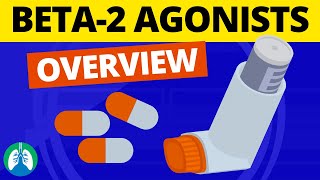 Beta2 Adrenergic Agonists Medications OVERVIEW  Bronchodilators [upl. by Cire824]