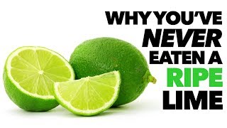 Why Ripe Limes Are NOT Green [upl. by Harmonie]