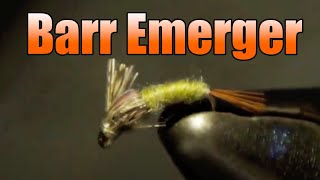 Barrs Emerger  Small Mayfly Nymph  John Barr Fly Pattern [upl. by Joshuah]