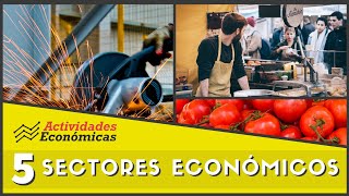 Los 5 sectores económicos Economía Ejemplos y características [upl. by Ahseuqal]