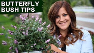 Butterfly Bush Care Tips  Garden Answer [upl. by Eliason]