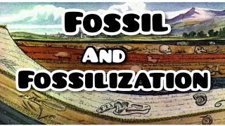 Fossil And Fossilization [upl. by Llewen]