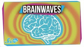 What Do Different Brainwaves Mean [upl. by Ailaro475]