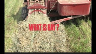 What is Hay and hows it made [upl. by Winsor]