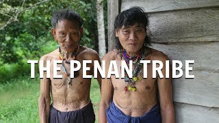 The Penan Tribe [upl. by Ploss]