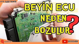 ECÜ MOTOR BEYNİ NEDEN BOZULUR [upl. by Ecenahs]