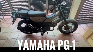 Yamaha PG1 Quick Review PH [upl. by Kjersti899]