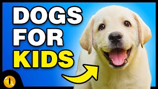 TOP 10 BEST DOG BREEDS FOR KIDS [upl. by Tobit]