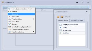 DevExpress Tutorial  Layout Control  FoxLearn [upl. by Modnar]