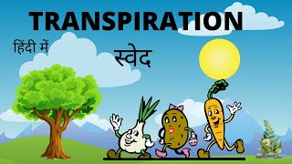 Transpirationआसान हिंदी में Explanation in hindi language  BiologyCBSENcertScience terms [upl. by Nahtad195]