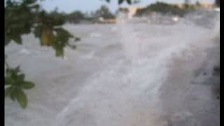 Shocking Footage of the 2011 Tsunami Hitting Hawaii [upl. by Redleh]