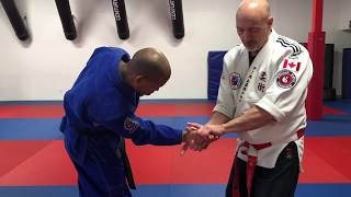 Budoshin Jujitsu Training Tips Techniques amp Variations by George Cushinan [upl. by Quiteris]