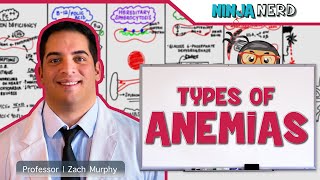 Hematology  Types of Anemias [upl. by Eelynnhoj508]