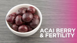 What is the CCRM Acai Berry Supplement for Fertility [upl. by Thin]