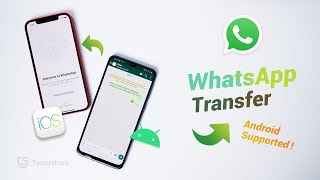 The EASIEST Way to Transfer WhatsApp from Android to iPhone 2020 Update [upl. by Sergei409]