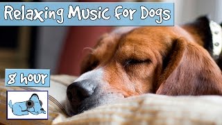 OVER 8 HOURS of Sleep Music for Dogs Help Your Dog Calm Down and Get to Sleep with our Playlist [upl. by Press166]