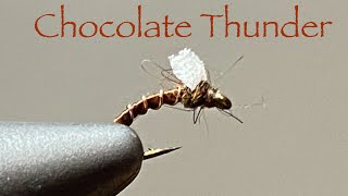 Foam Back Emerger Chocolate Thunder [upl. by Marlene]