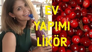 Likör tarif videosu  kızılcık likörü tarifi  Cranberry liqueur recipe [upl. by Lakin116]