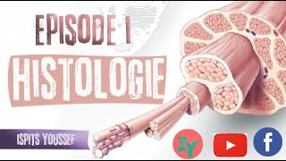 Episode 1HistologieLe tissu épithélial [upl. by Mobley]