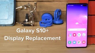 Samsung S10 Display Replacement and Reassembly [upl. by Cerallua819]