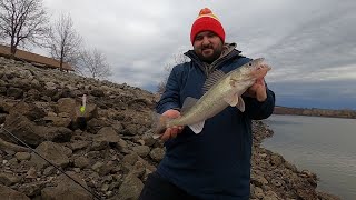 WALLEYE FISHING IN MISSOURI below truman lake dam [upl. by Asreht]