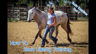 How To Start Liberty Training With Your Horse Basic Exercises Part 1 [upl. by Oiramrej817]