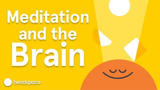 Meditations Impact on the Brain  Expert Videos [upl. by Anor]