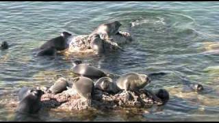 Lake Baikal Siberia Russia [upl. by Nnaycnan239]