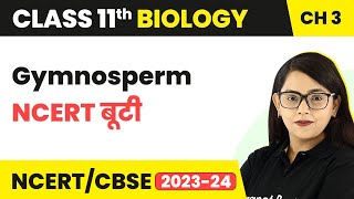 Gymnosperm  NCERT बूटी  Plant Kingdom  Class 11 Biology Chapter 3  NCERTCBSE [upl. by Belda500]