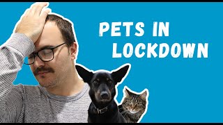 Working from home with pets  RSPCA South Australia [upl. by Suk]