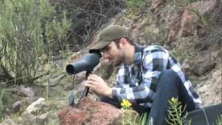 Colorado 2060x60 Spotting Scope from Barska CO11502 [upl. by Mert]