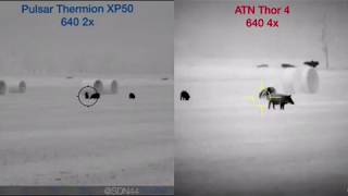 ATN Thor 4 640 vs Pulsar Thermion XP50 Video Comparison [upl. by Aicilat28]