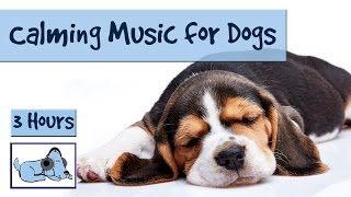 3 and a Half Hours of Calming Music for Dogs [upl. by Cristian894]