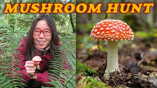 MUSHROOM HUNTING 🍁 Autumn Adventures in Washington [upl. by Sand]