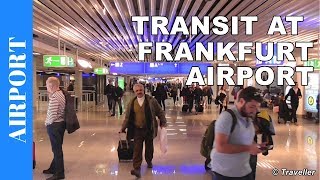 TRANSIT WALK AT FRANKFURT Airport FRA Terminal 1  Connection Flight Transfer Arriving amp Departing [upl. by Enileuqkcaj151]