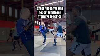 Israel Adesanya and Robert Whittaker TRAIN TOGETHER [upl. by Siramad839]