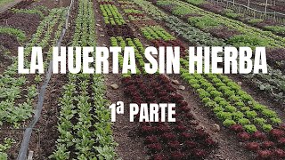 La Huerta Sin quotMalasquot Hierbas  1ª parte [upl. by Girhiny]