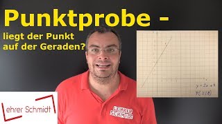 Punktprobe  Liegt der Punkt auf der Geraden  Mathematik  einfach erklärt  Lehrerschmidt [upl. by Cupo]