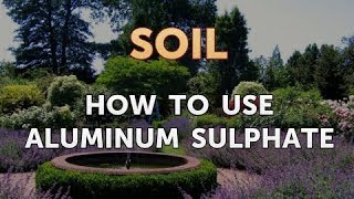 How to Use Aluminum Sulphate [upl. by Ahsinert]