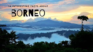 14 Interesting Facts About Borneo [upl. by Ainatit]