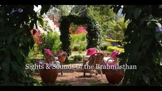 Sights amp Sounds of the Brahmasthan [upl. by Starkey]